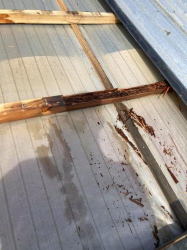 134141798_211457227229874_1286159584477316181_n